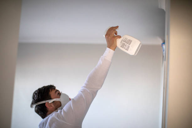Best Residential Mold Remediation in Moores Mill, AL