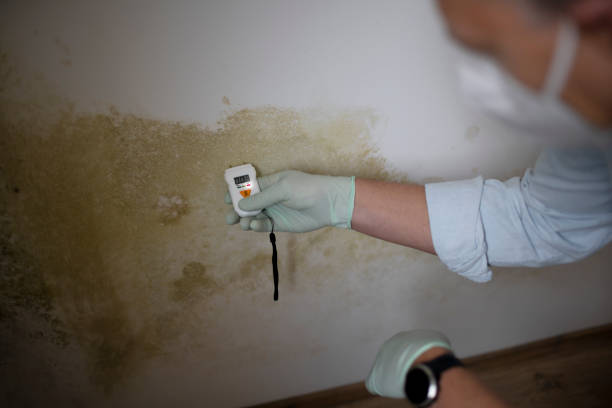 Best HVAC Mold Remediation in Moores Mill, AL