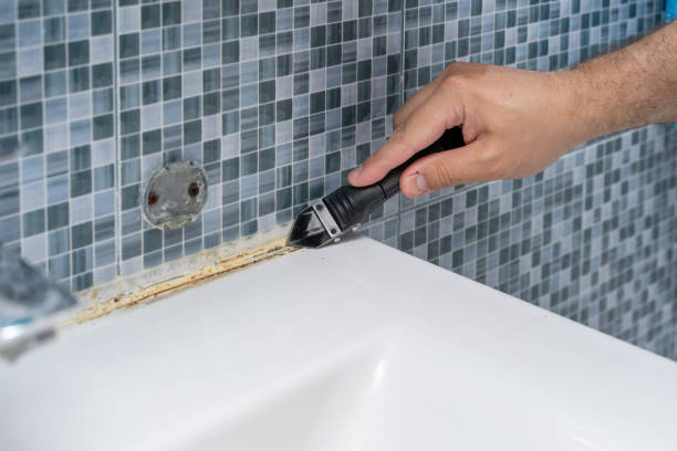 Best DIY Mold Remediation Support Services in Moores Mill, AL